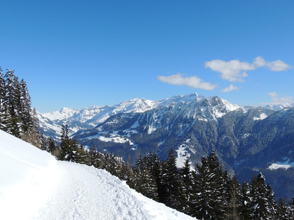 Alpine Classic Hotel Leysin Εξωτερικό φωτογραφία